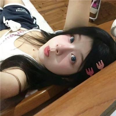 长毛狗